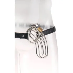 Fetish-Fantasy-Extreme-the-Prisoner-CHASTITY-CAGE