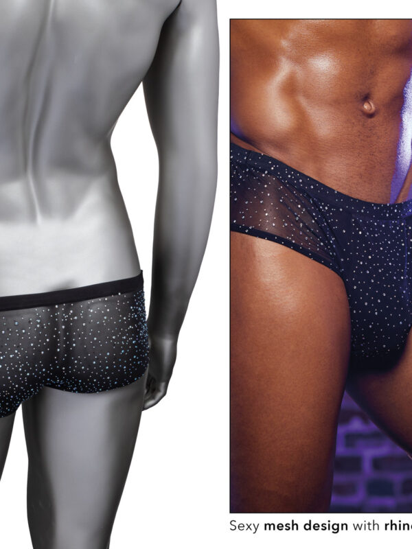 Alternative view of Radiance Classic Briefs + Rhinestones - O/S