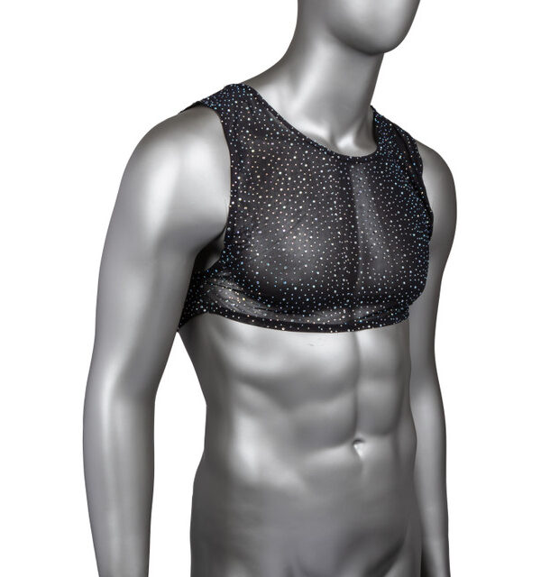 Radiance Crop Top + Rhinestones