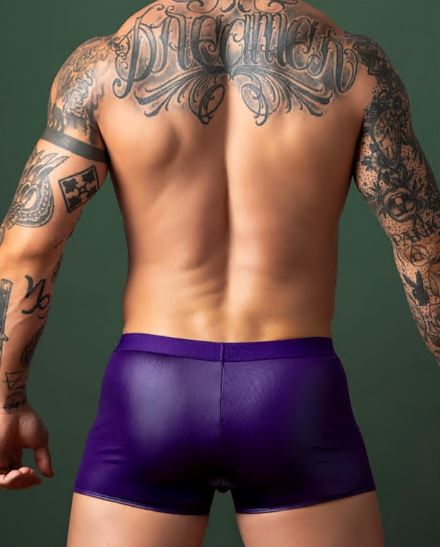 Eggplant Crossover Short - L