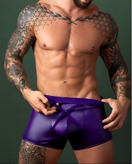 Alternative view of Eggplant Crossover Short - L