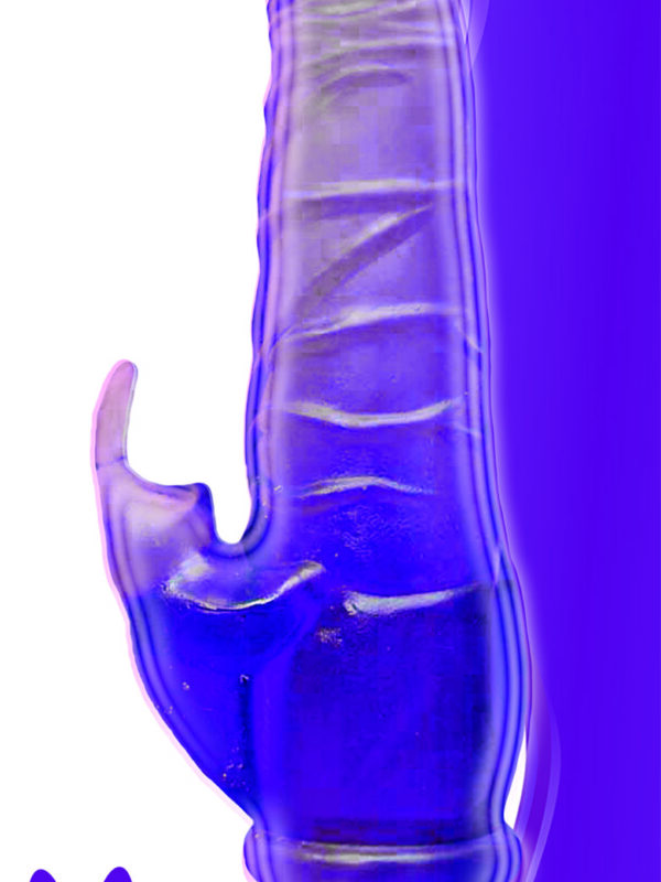 Wet Dreams Rapid Rabbit Vibrator - Purple