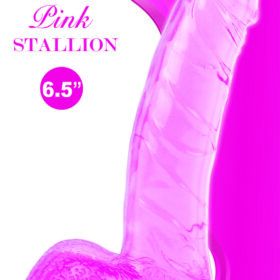 Wet Dreams Pink Stallion Dildo - 6.5"