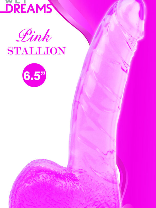 Wet Dreams Pink Stallion Dildo - 6.5"