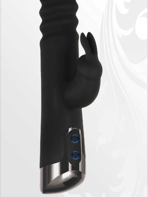 Alternative view of Evolved Rapid Rabbit