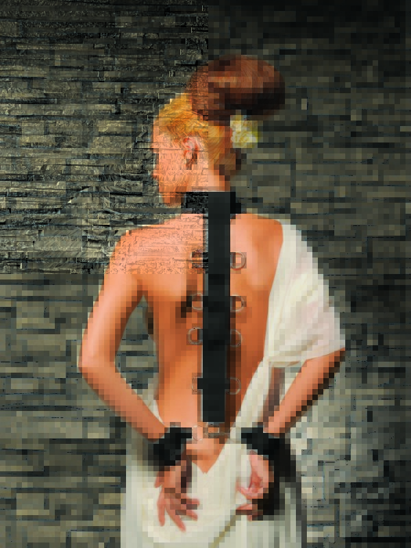 Premium Neck & Wrist Restraint
