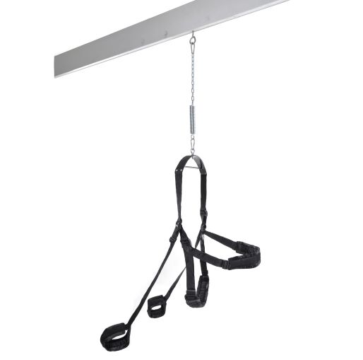 Fetish fantasy swing black - Image 6