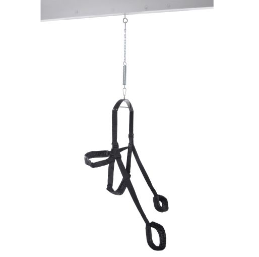 Fetish fantasy swing black - Image 7