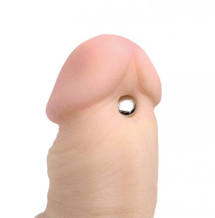 Magnus magnetic orb shown on a realistic model to show its size
