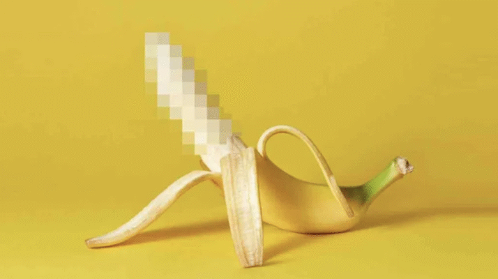 ​The Penis, Erections, and Ejaculation: A Spicy Road Map