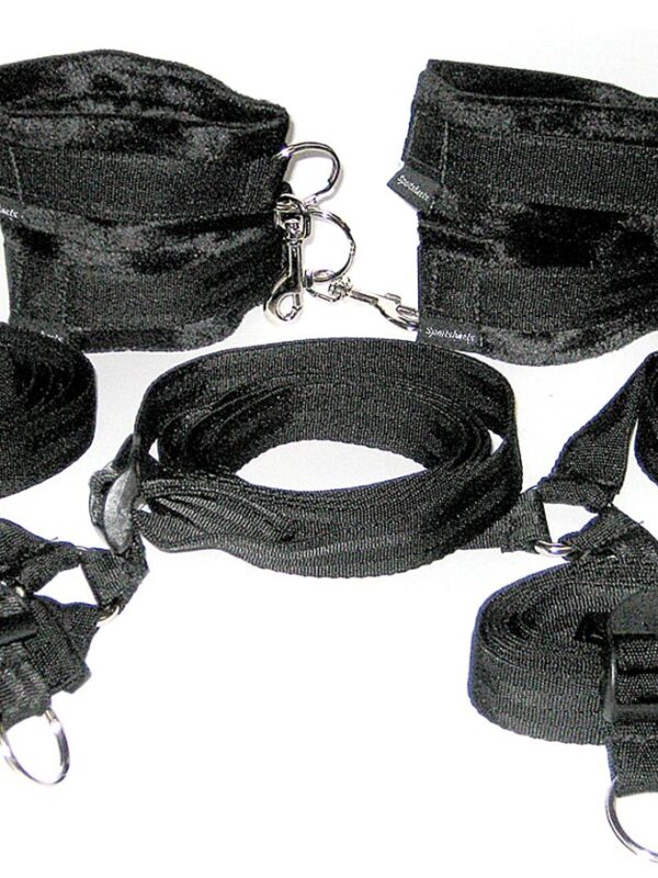 Premium Under The Bed Restraint System