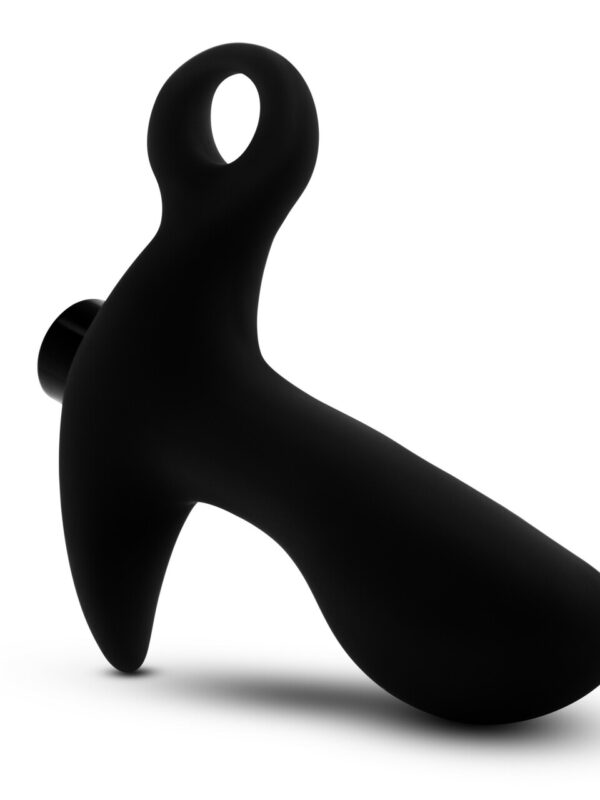 BODY SAFE PROSTATE ANAL TOYS FOR MEN