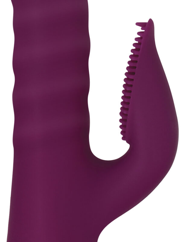 WTPENRS61222_1