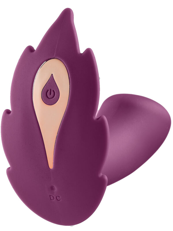Wireless Remote Control Insertable Panty Vibrator