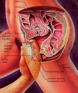 Finding the G-Spot
